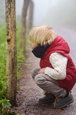 Little boy looking on big snail during hike in forest. Preschooler child explore nature. Developing outdoors activity for kids. Rainy day in parkの写真素材