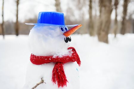 Close-up view of handmade snowman with red scarf, blue hat, carrot nose and mustache in a snowy park. Active outdoors leisure for children and family in winterの写真素材