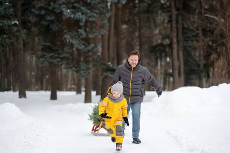 Little boy carries a Christmas tree on a sled to take it home from winter forest. Christmas holidays.の写真素材