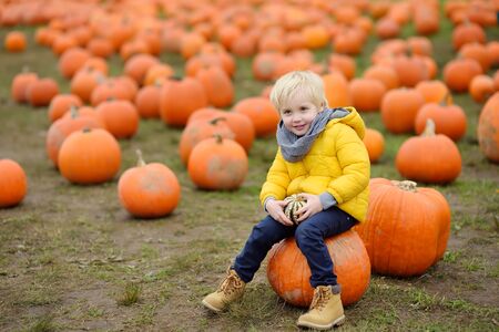Little boy having fun on a tour of a pumpkin farm at autumn. Child sitting on giant pumpkin. Pumpkin is traditional vegetable used on American holidays - Halloween and Thanksgiving Day.の写真素材