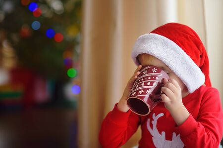Little boy drinking hot cocoa in decorated cozy living room. Happy kid on Christmas time. Activity...