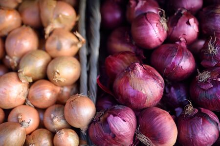 Fresh bio onion on showcase of supermarket in Monaco. Organic vegan food. Background.の写真素材