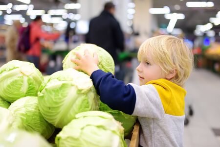 Little boy boy in a food store or a supermarket choosing fresh organic cabbage. Healthy food for young family with kidsの写真素材