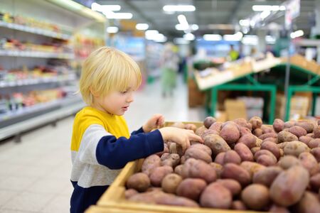 Little boy boy in a food store or a supermarket choosing fresh organic potatoes. Healthy food for young family with kidsの写真素材