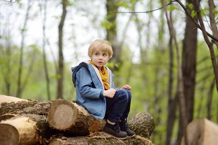 Preschooler child walking in forest after rain. Kid playing and having fun in spring or summer day. Outdoors games for children.の写真素材