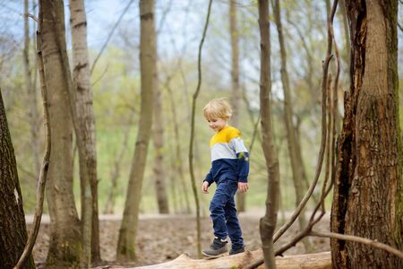 Preschooler child walking in forest after rain. Kid playing and having fun in spring or summer day. Outdoors games for children.の写真素材