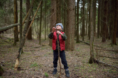 Little boy in red vest is playing with big branch and having fun in coniferous forest on early...