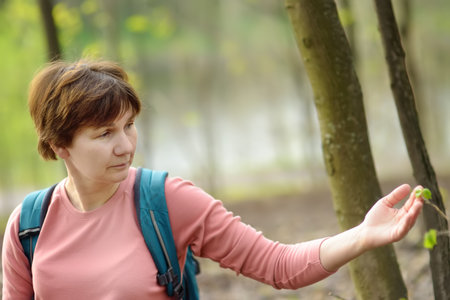 Mature woman walking in spring forest. Person admiring young leaves of tree. Beauty of nature....