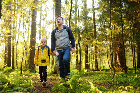 Cute schoolchild and his mature father hiking together and exploring nature. Little boy with his dad spend quality family time together in the sunny summer forest. Daddy and his little sonの写真素材