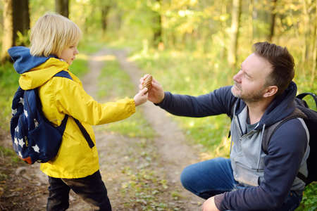 Cute schoolchild and his mature father hiking together and exploring nature. Little boy with his dad spend quality family time together in the sunny summer forest. Daddy and his little sonの写真素材