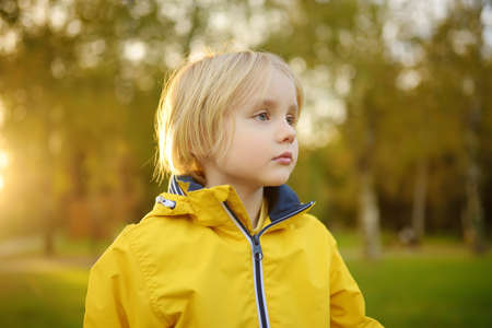 Portrait of little boy having fun during stroll in the public park at sunny autumn day. Active family time on nature. Hiking with little kids. Leaves rustle.の写真素材