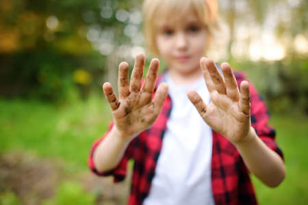 Little boy working in the domestic garden on sunny summer day. Closeup of child hands stained with earth. Gardening activity with little kid. Community garden.の写真素材