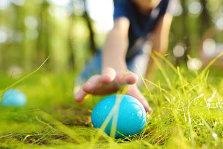 Little boy hunting for eggs in spring garden on Easter day. Traditional festival outdoors. Child...