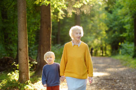 Elderly grandmother and her little grandchild walking together in sunny summer park. grandma and grandson. Two generations of family.の写真素材