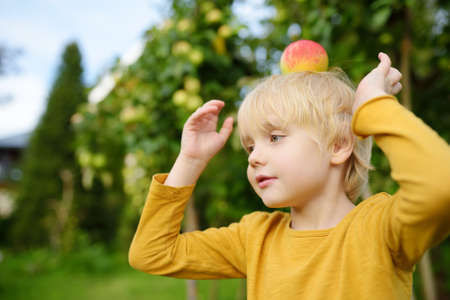 Little boy having fun with apple on head in domestic garden. Kids game at summer outdoors. Child spending their summer holidays in the countryside.の写真素材