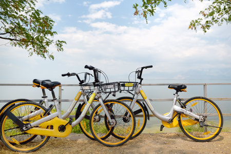 Shkodra, Albania - August 7 2022: Several rental bikes on the shore of Lake Skadar. Travel and...