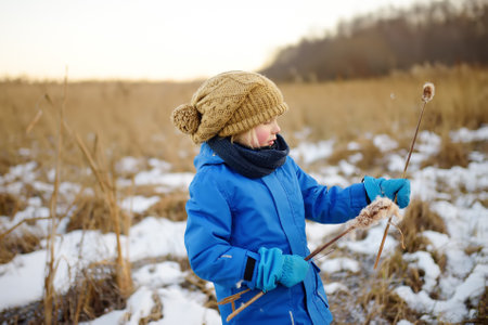 Cute preschool boy is playing on the ice of a frozen lake or river on a cold sunny winter sunset. Child having fun with icicle and dry reed plant during family hiking. Kids outdoor games in winterの写真素材