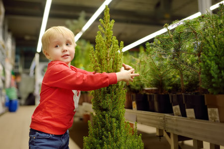 A small child chooses the best Christmas fir at the Christmas market. The kid boy trying to hold a...