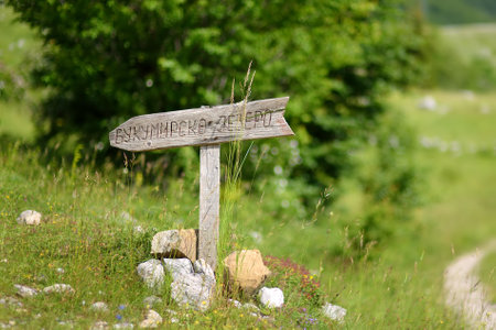 Wooden direction sign on Bukumirsko Lake in the valley of the Dinaric Alps in Montenegro. Hiking and...