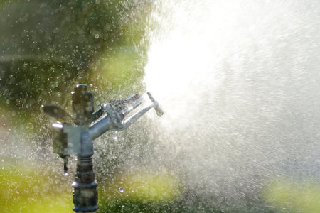 Garden sprinkler in sunny backyard or public parkの写真素材