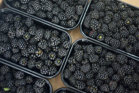 Fresh homegrown berries are at local farmer's market. Blackberry. Healthy vegetarian food. Small...
