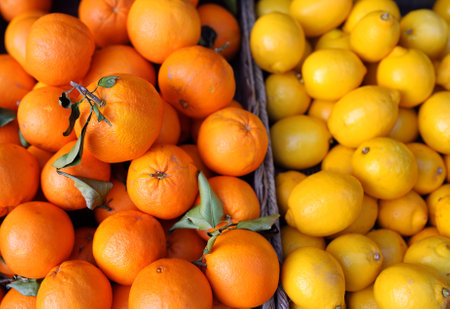 Fresh healthy bio citrus in Monaco supermarket - lemons and tangerines. Organic vegan food. Background.の写真素材