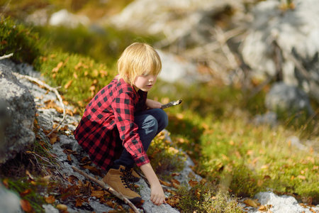 Preteen boy is exploring nature and having fun during hiking in mountains valley on sunny autumn day. Active leisure for energetic children. Summer outdoor recreation for family with kidsの写真素材
