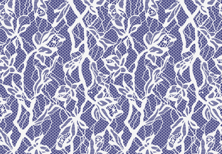 Seamless Vector White Lace Patternのイラスト素材