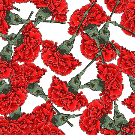 Seamless Vector Red Carnations Patternのイラスト素材