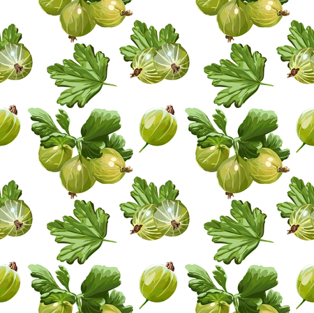 Seamless Vector Gooseberry Patternのイラスト素材