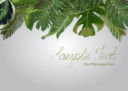 Vector Exotic Leaves Frameのイラスト素材