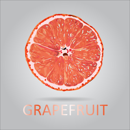 Vector Grapefruit Slice Illustrationのイラスト素材