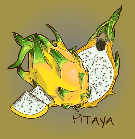 Vector Yellow Dragon Fruit Illustrationのイラスト素材