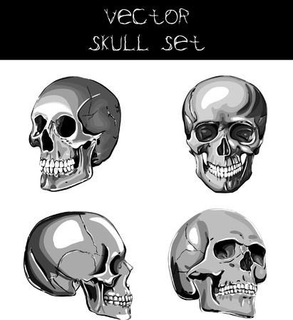 Vector Skull Illustration Setのイラスト素材