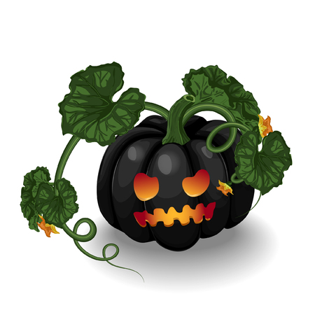 Vector Halloween Pumpkin Illustrationのイラスト素材