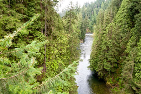 A view looking down onto the Capilano River and surrounding old-growth forest in North Vancouver, British Columbia, Canadaの写真素材