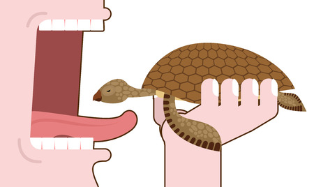 Man eating turtle. Destruction of amphibians. elimination of wildlife. Consumption natatorial reptiles. Extermination of marine animals. Live food. Open mouth for food. tongue and teeth.のイラスト素材