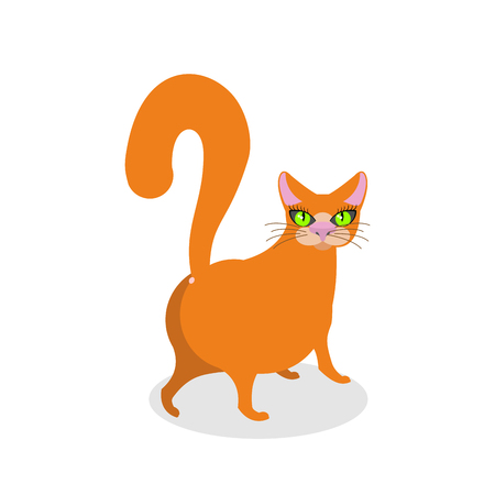 Red cat ass. Happy pet. Thick Animal backのイラスト素材