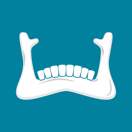 Mandible human isolated. Lower jaw. Anatomy of bone. Part of skull. のイラスト素材