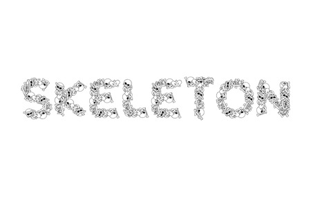 Skeleton sign. Anatomy lettering. Death typography. Letters from bones. Skull and spine. jaw and pelvisのイラスト素材