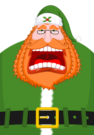 Irish Santa (Daddy of Christmas). Santa Claus Ireland ( Daidi na Nollag ) Irish language. Christmas old man in green clothes. Sprig of mistletoe on cap. Traditional New Year grandfather
のイラスト素材