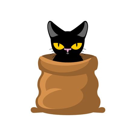 Cat in sack. Pet in bag. Allegory bad buyのイラスト素材