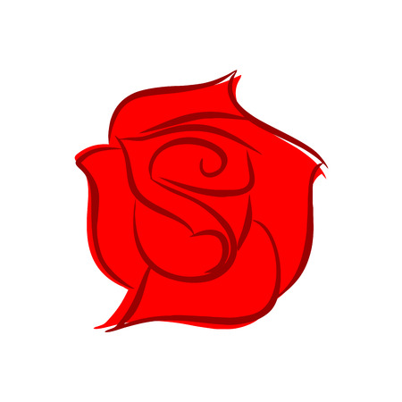 Red rose isolated. Flower on white backgroundのイラスト素材