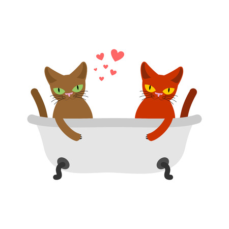 Cat lovers in bath. Lover Joint bathing.. Pet Romantic date. Cats lifestyleのイラスト素材