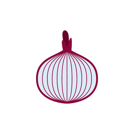 Onions cut isolated. Vegetable slice on white backgroundのイラスト素材