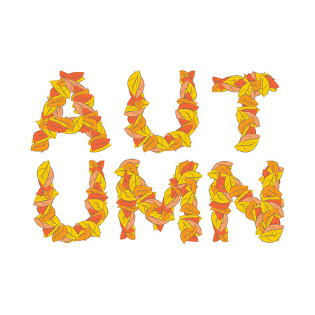 Autumn lettering. Yellow leaves of ABC. autumnal alphabet. Letters of fallen leavesのイラスト素材