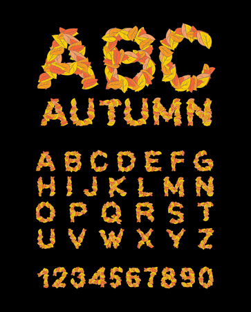 Autumn font. Yellow leaves of alphabet. autumnal ABC. Letters of fallen leavesのイラスト素材