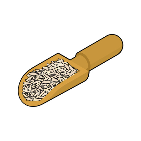 Brown rice in wooden scoopのイラスト素材