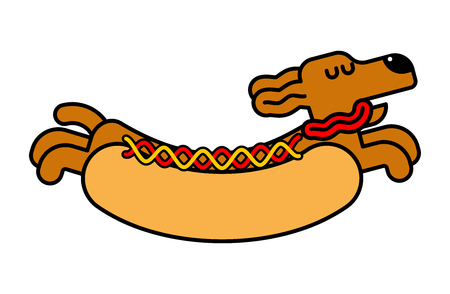 Hot dog dachshund. Pet Animal Hotdog.のイラスト素材