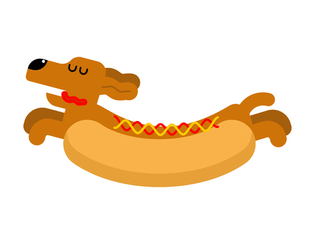 Hot dog dachshund. Pet Animal Hotdog. Vector illustrationのイラスト素材